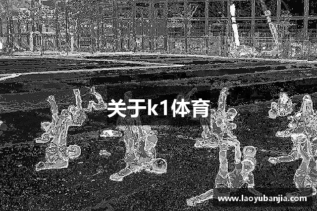 关于k1体育